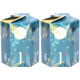 Fleurance Nature Calendrier de l'Après "Rêverie Végétale"