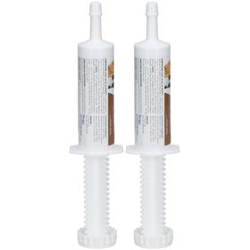 Clément Thékan Digeskan Pâte Orale