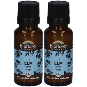 BIOFLORAL Elm - Orme - Bio