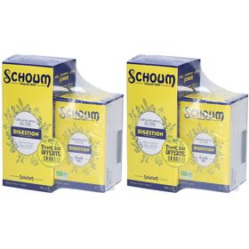 3 CHÈNES SCHOUM DIGESTION SOLUTION Solution et Tisane