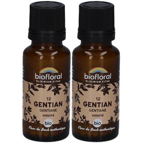 BIOFLORAL Gentian - Gentiane - Bio