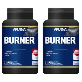 APURNA Burner