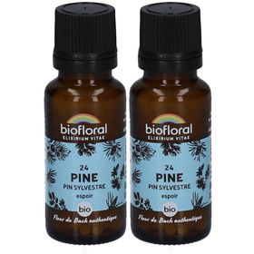 BIOFLORAL 24 Pine - Pin Sylvestre