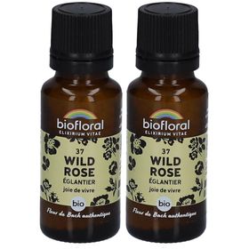 BIOFLORAL 37 Wild Rose - Eglantier