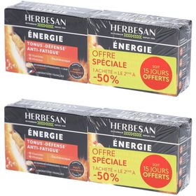 Herbesan Energie