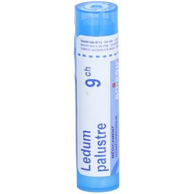 LEDUM PALUSTRE BOIRON 9CH tube-granules