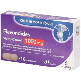 Viatris Flavonoïdes 1000 mg