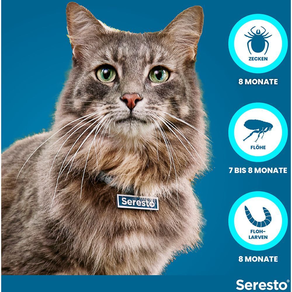 Seresto® Collier pour chats