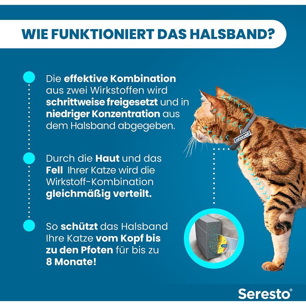 Seresto® Collier pour chats