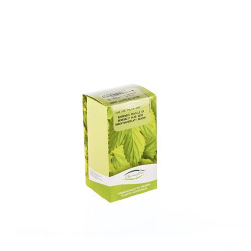 Boîte verte avec feuilles et logo Pharmaflore. Texte: Berendruf Blad Gesneden, Uvae Ursi Folium.