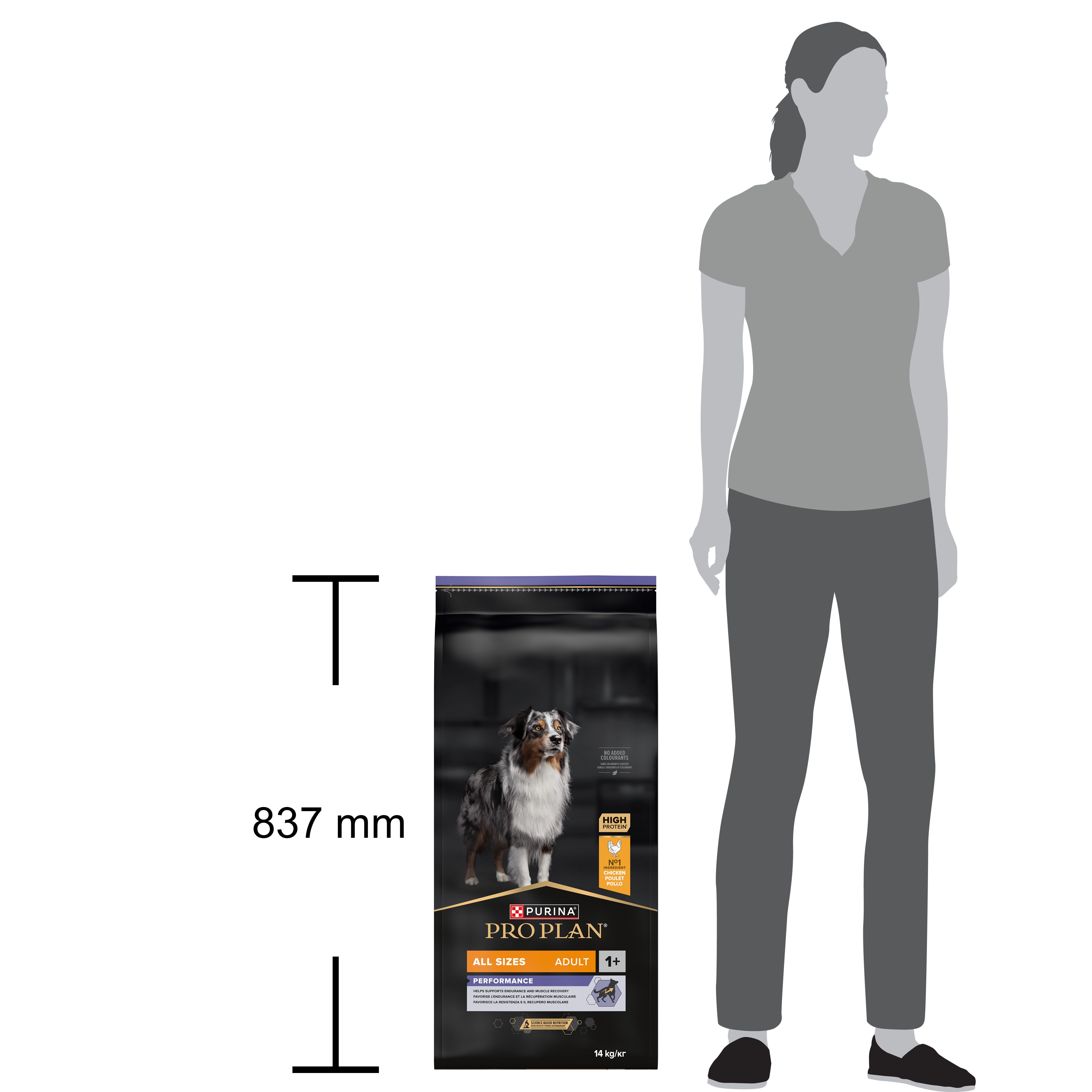 Dos de l'emballage de nourriture pour chiens Purina Pro Plan Adult. Contient des informations et un code-barres.