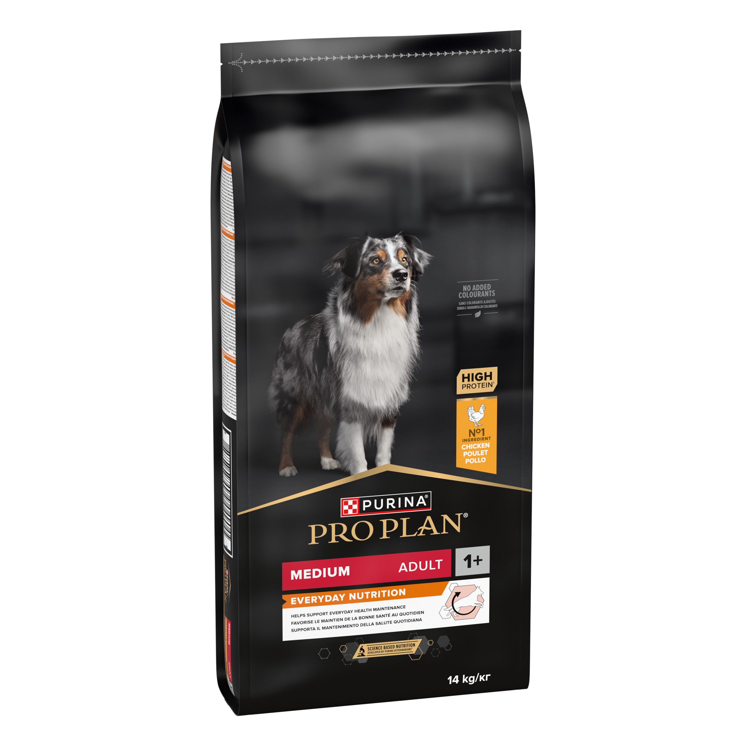 Emballage noir de nourriture pour chiens. Inscription : PRO PLAN, Medium Adult, Everyday Nutrition. Image d'un chien.