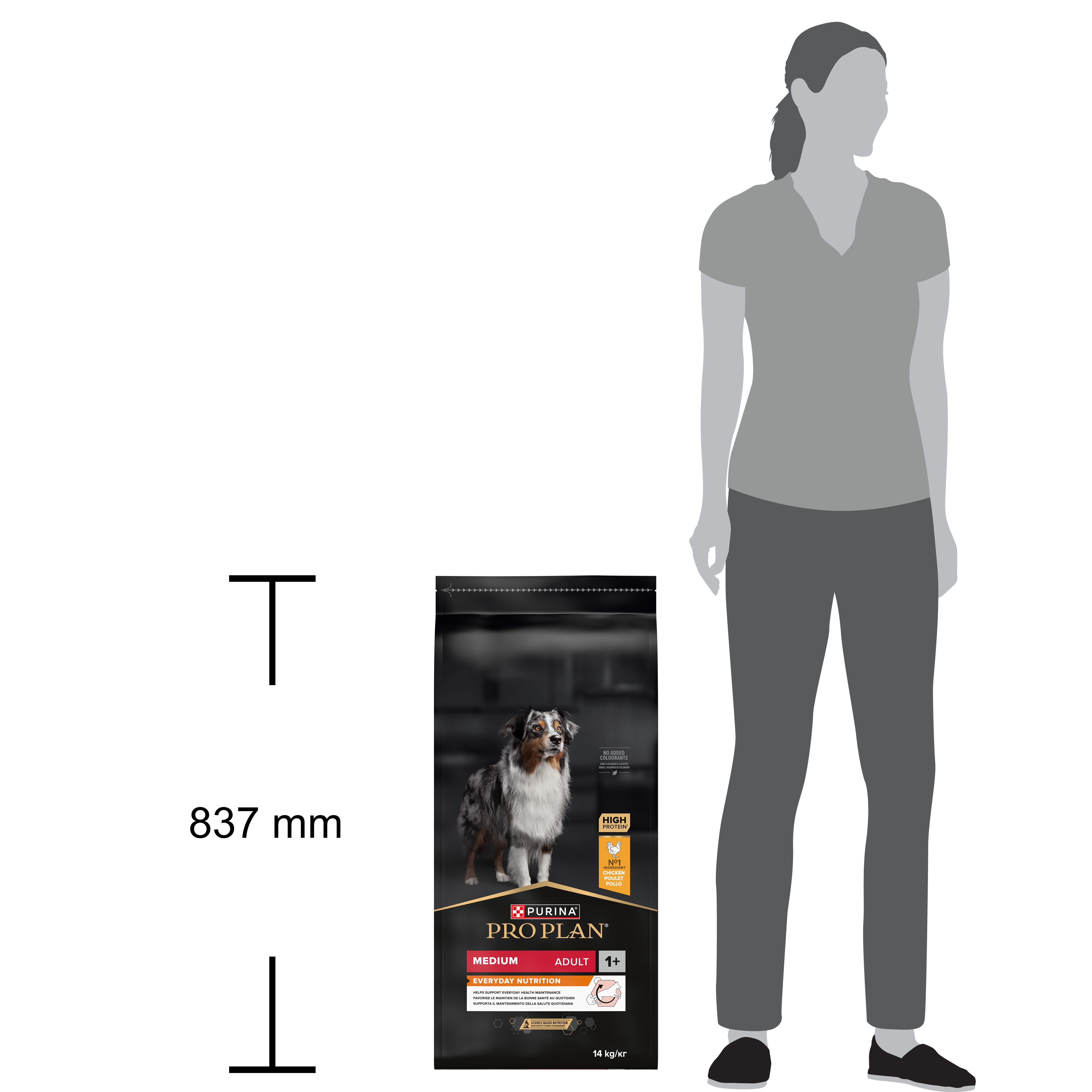 Emballage noir de nourriture pour chiens. Inscription : PRO PLAN, Medium Adult, Everyday Nutrition. Image d'un chien.