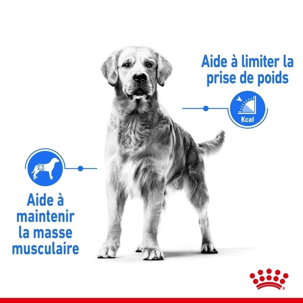 Royal Canin Maxi Light Weight Care : sac 12kg avec Collie et caractéristiques du produit.