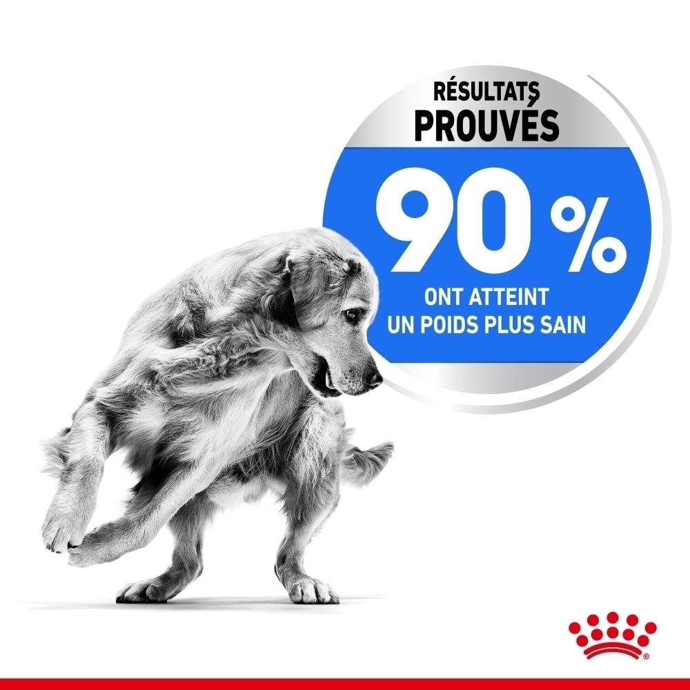 Royal Canin Maxi Light Weight Care : sac 12kg avec Collie et caractéristiques du produit.
