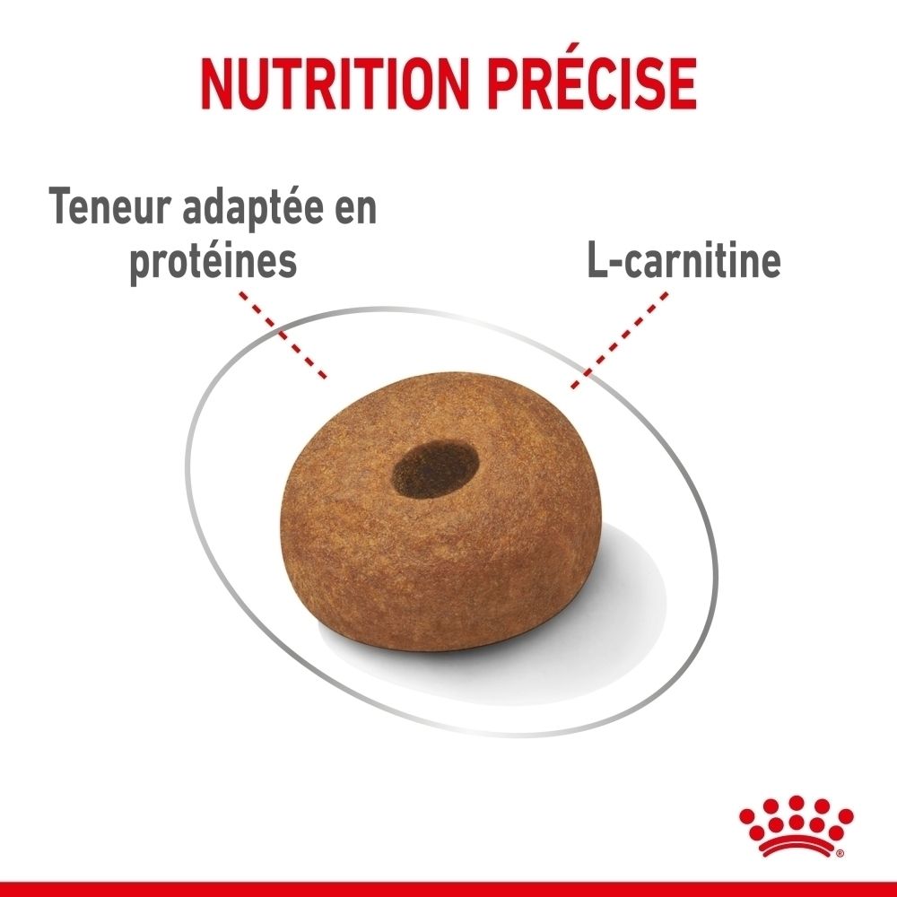 Royal Canin Maxi Light Weight Care : sac 12kg avec Collie et caractéristiques du produit.