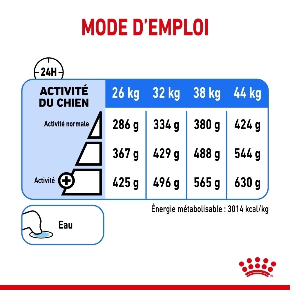 Royal Canin Maxi Light Weight Care : sac 12kg avec Collie et caractéristiques du produit.