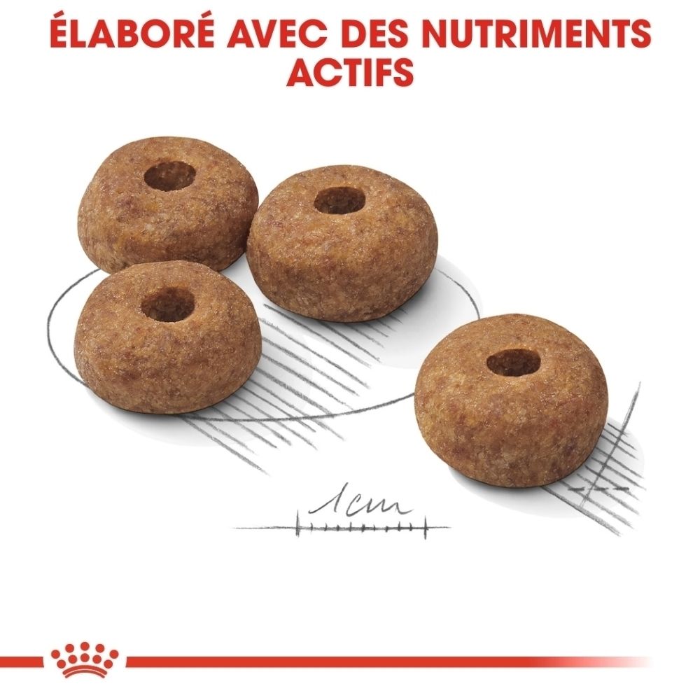 Logo Royal Canin et texte 'Pour chiens adultes stérilisés'.