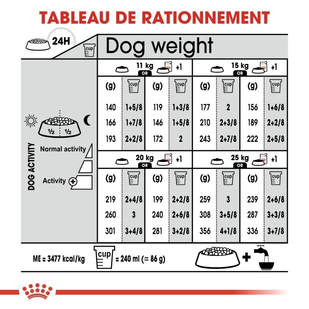 Quatre croquettes Royal Canin, environ 1 cm, avec une échelle.