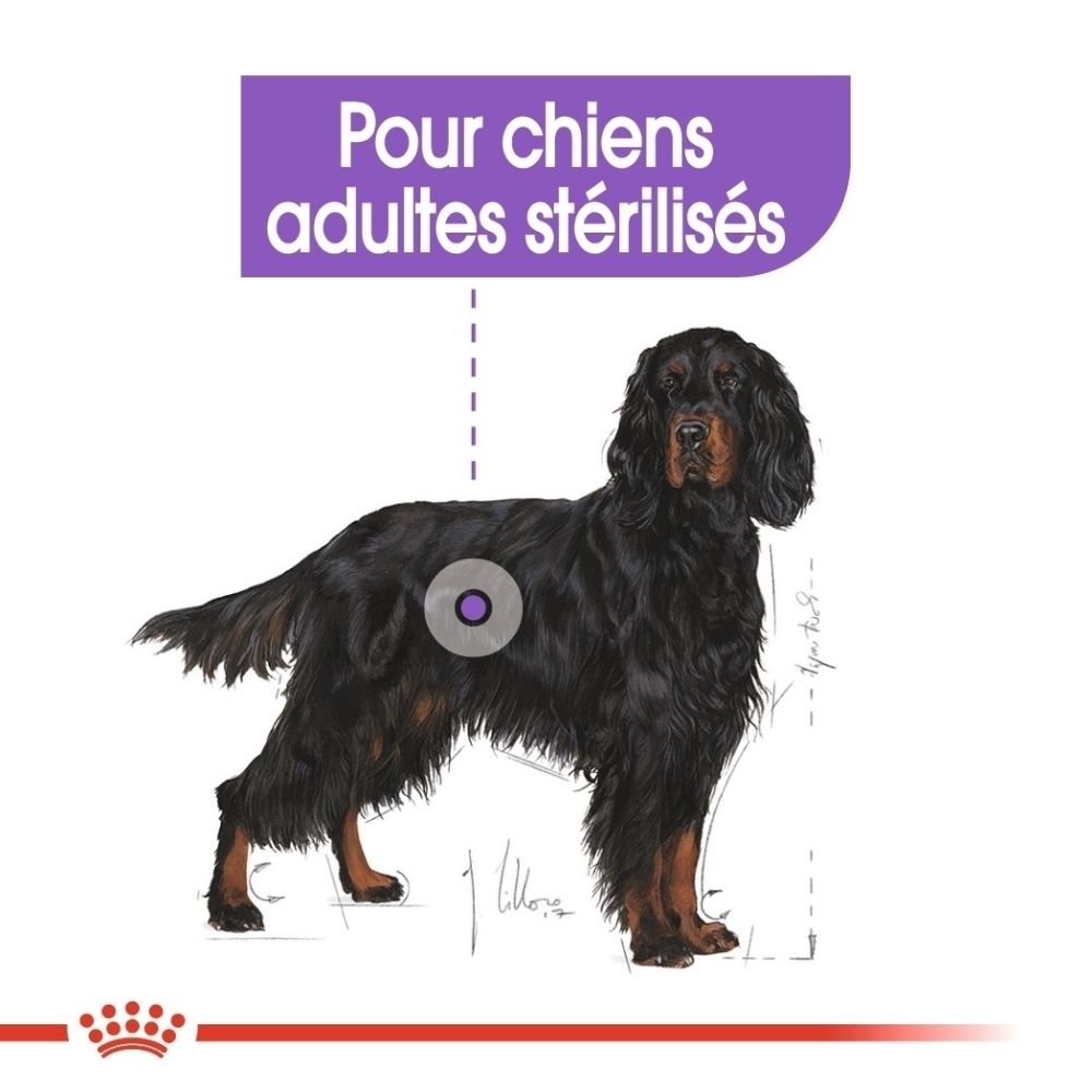 Emballage Royal Canin Maxi Sterilisé : Constituants analytiques et composition.