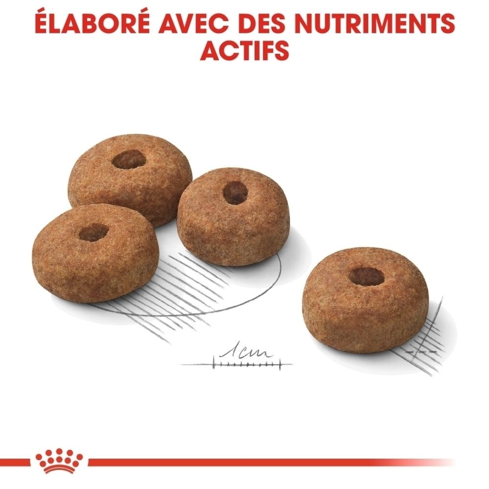 Royal Canin Maxi Sterilisé : Graphique sur la réduction des calories et le maintien du poids.