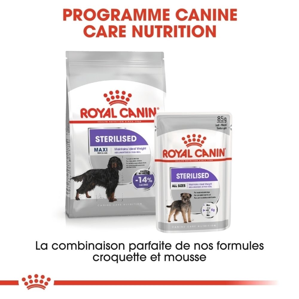 Royal Canin Maxi Sterilisé : Gros plan de croquettes avec symbole de nutriments.