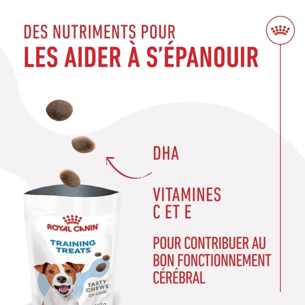 Sachet Royal Canin Training Treats : Nutriments pour le cerveau avec DHA, Vitamines C & E.