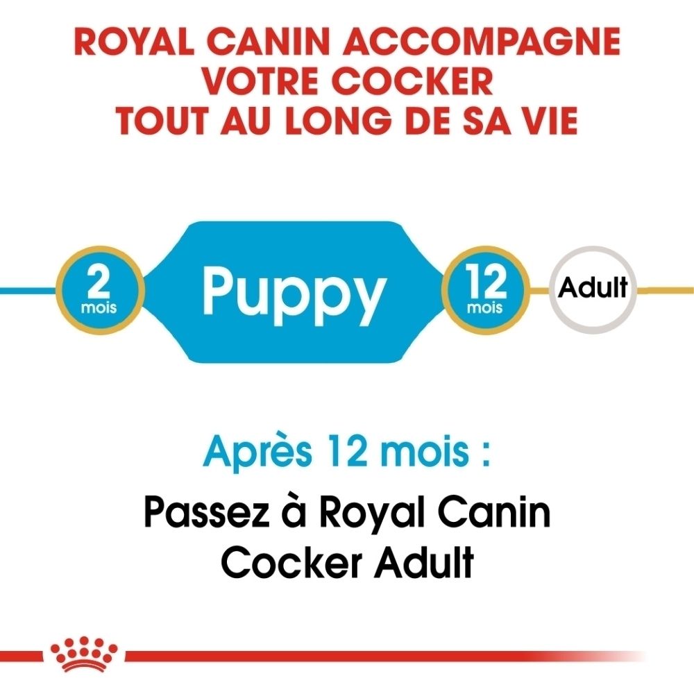 Royal Canin : De 2 mois (chiot) à 12 mois (adulte). Passez à Royal Canin Cocker Adulte après 12 mois.