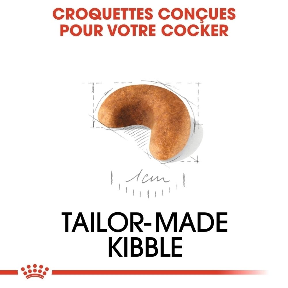 Une croquette unique de forme courbée, avec une indication de taille de 1 cm.