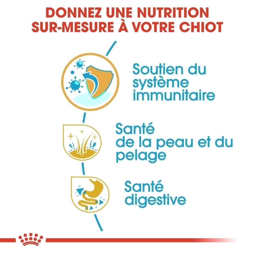 Graphique avec trois icônes : soutien immunitaire, santé de la peau et du pelage, santé digestive.