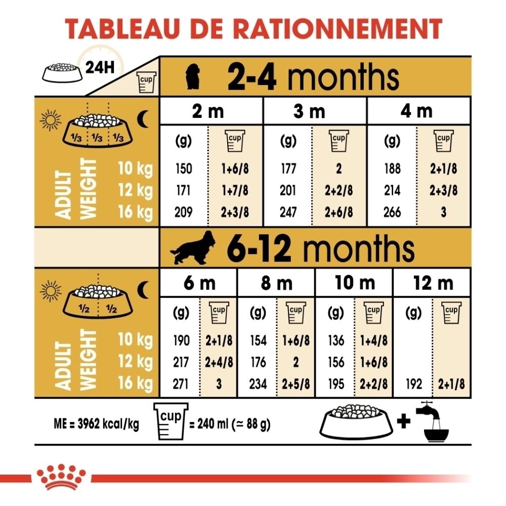 Tableau de rationnement pour chiens : âge, poids et quantité de nourriture en grammes et en tasses.