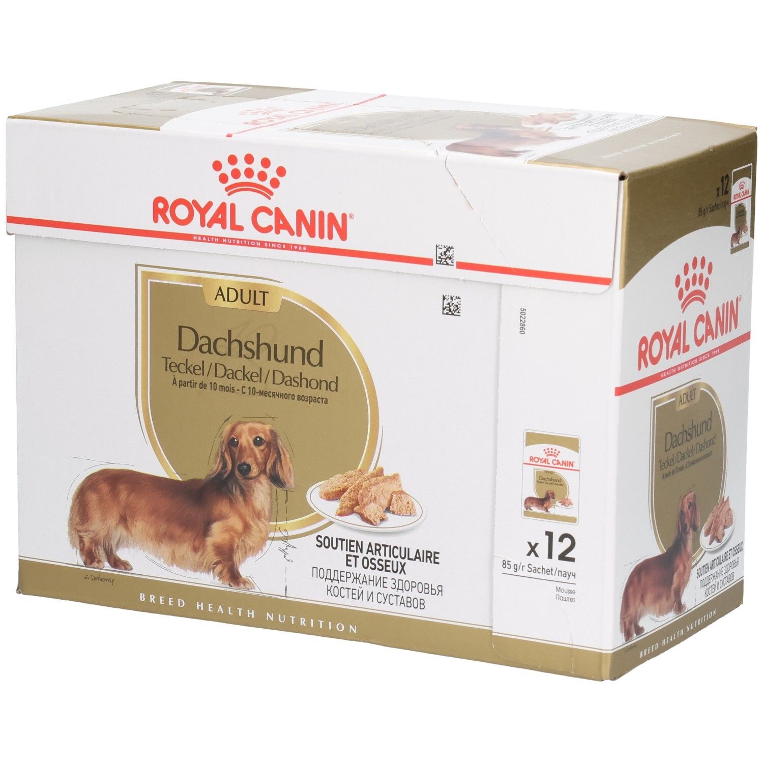 Boîte Royal Canin Teckel Adulte, 12 sachets.