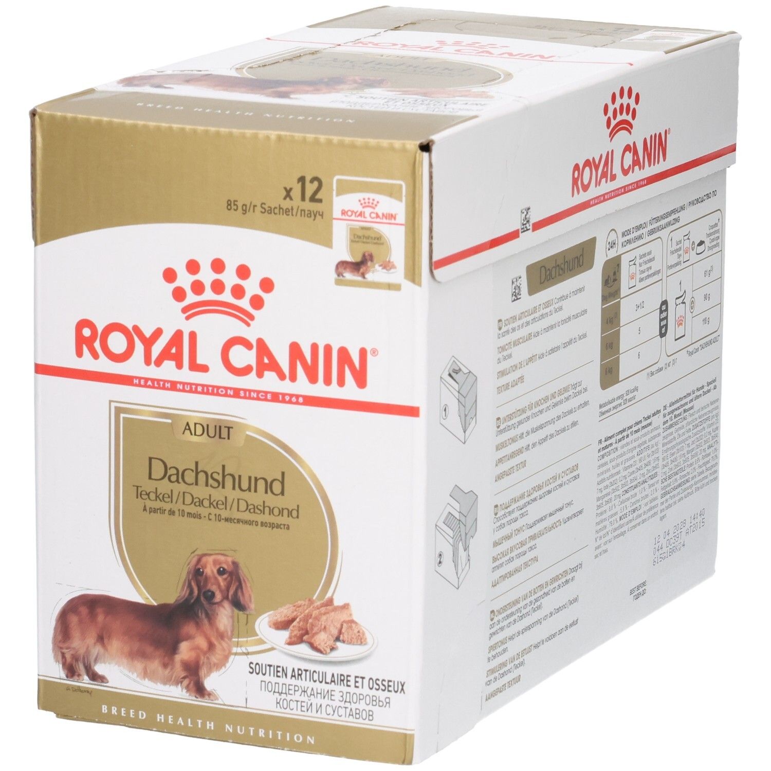 Boîte Royal Canin Teckel Adulte, 12 sachets, vue avant et latérale.