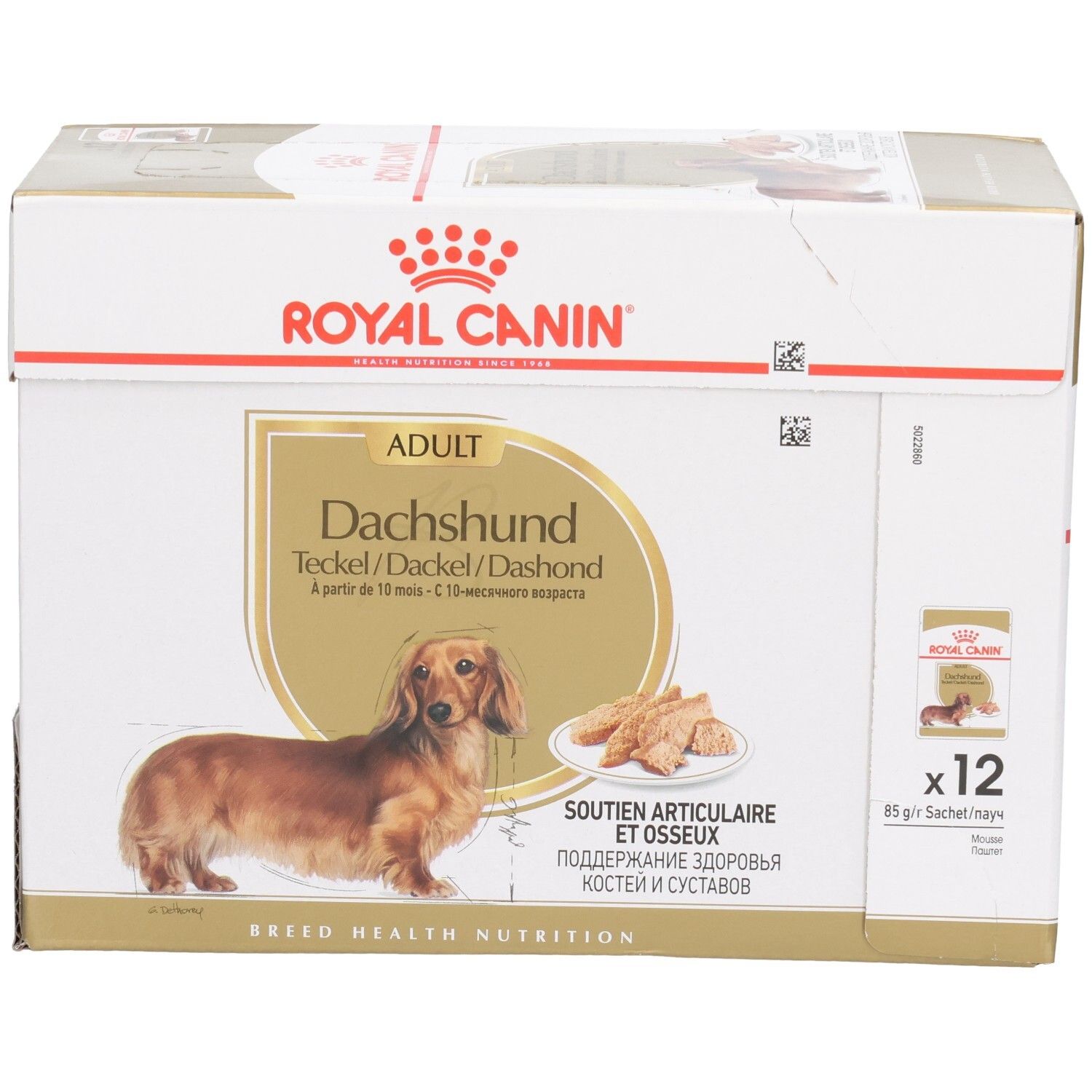 Boîte Royal Canin Teckel Adulte, 12 sachets, focus sur l'image du produit.