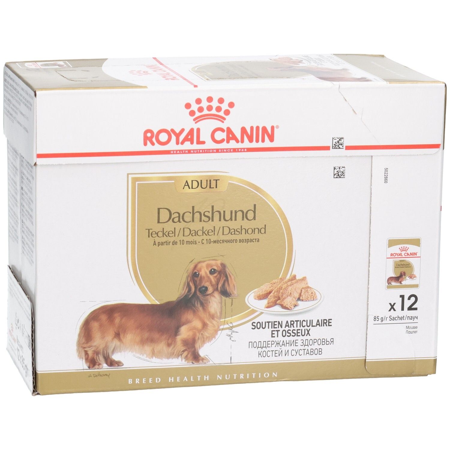 Boîte Royal Canin Teckel Adulte, 12 sachets, vue latérale.