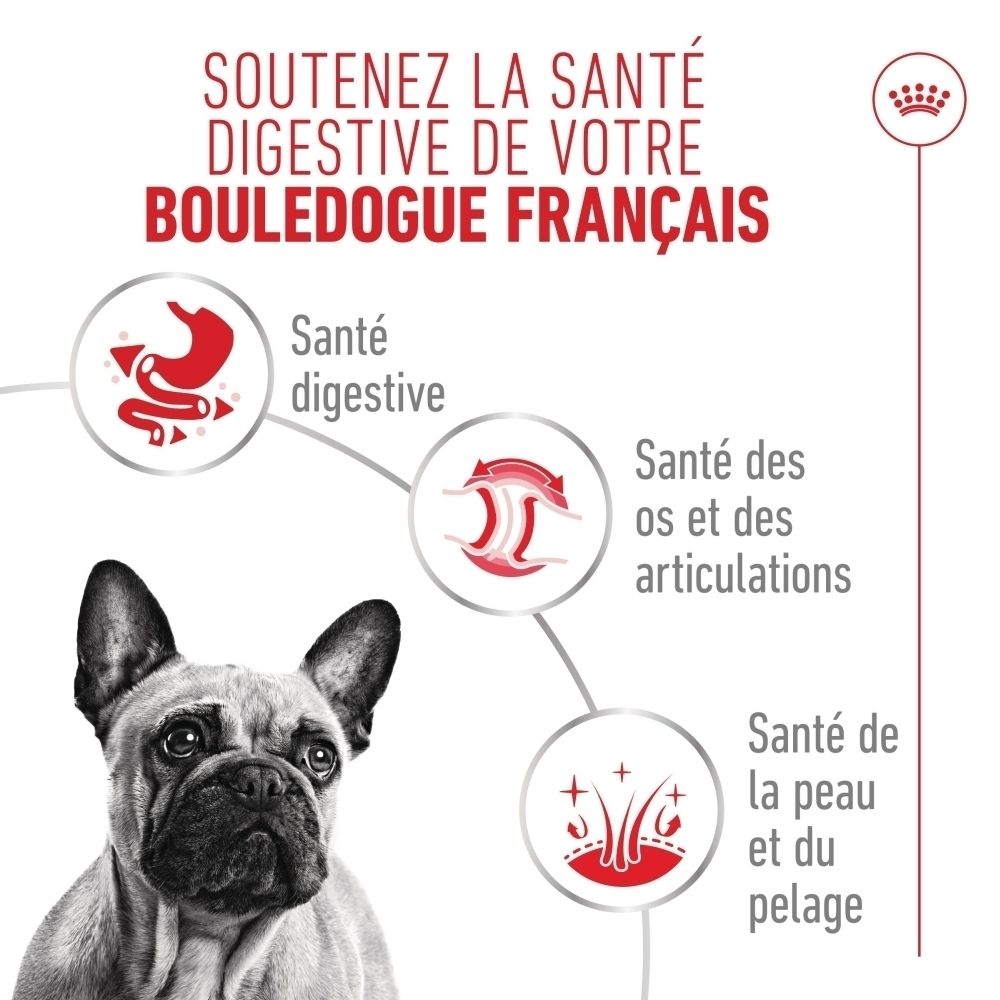 Graphique sur la santé digestive du Bouledogue Français avec Royal Canin.