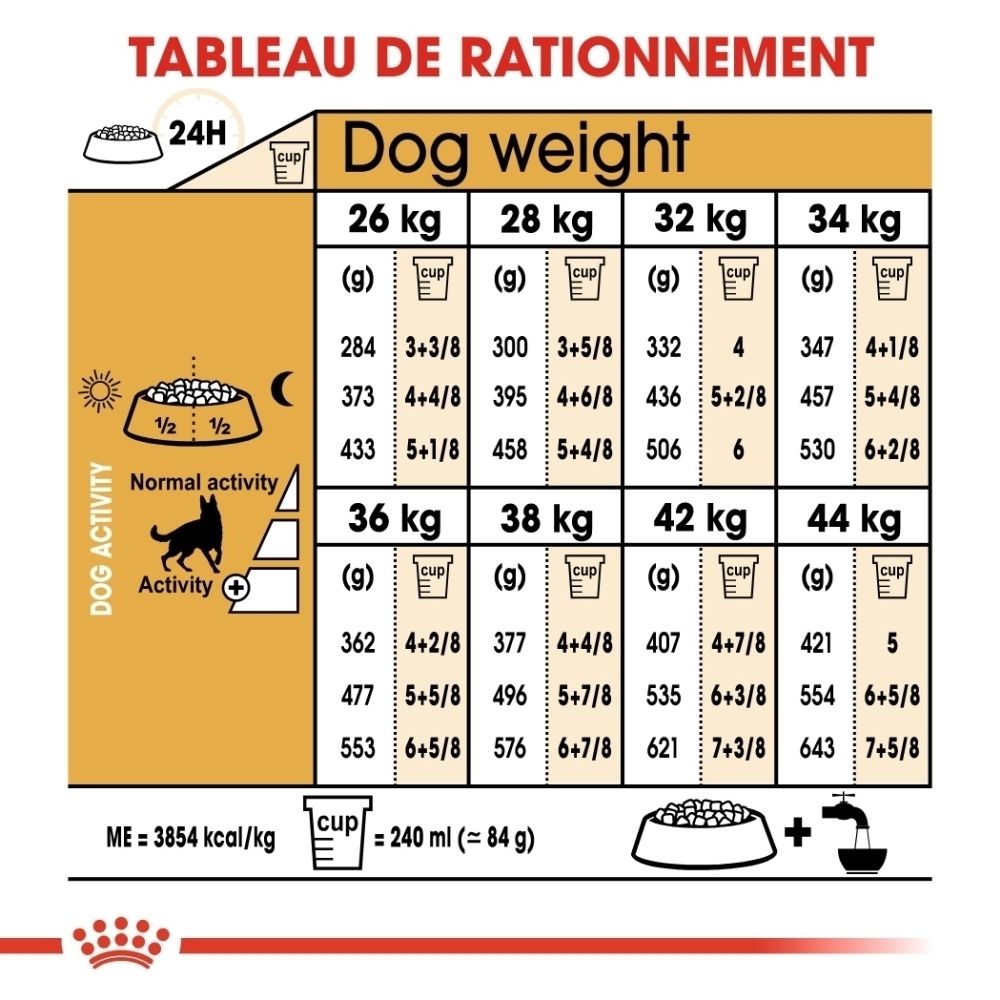 Tableau de rationnement pour chiens par poids et activité, avec quantités en grammes et en tasses.