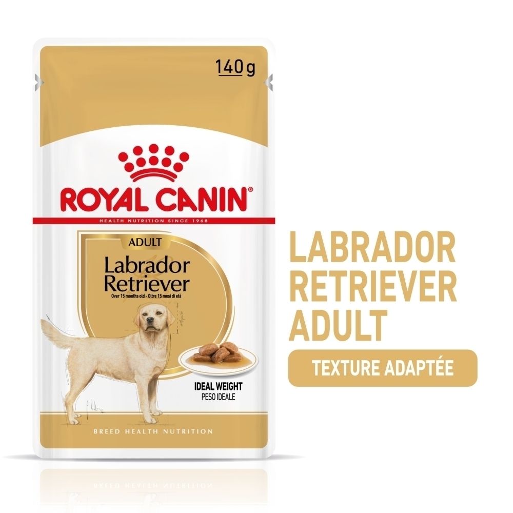 Royal Canin Labrador Retriever Adulte 140g sachet.