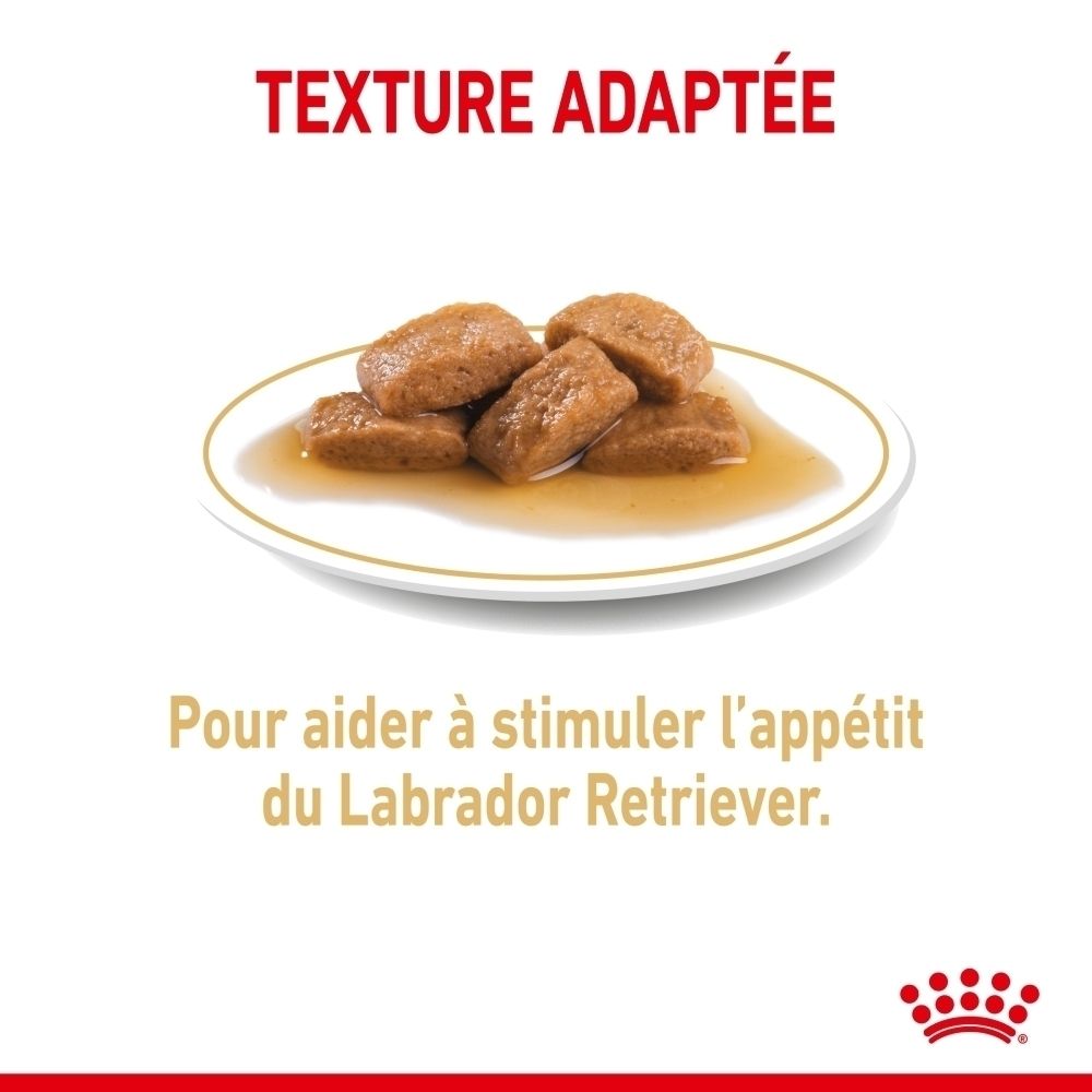 Royal Canin Labrador Retriever Adulte 140g sachet.