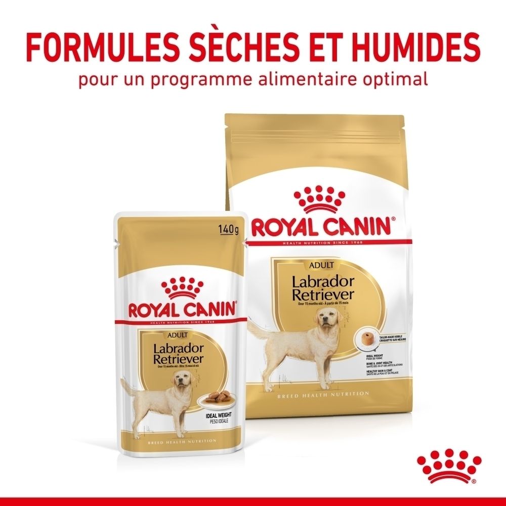 Royal Canin Labrador Retriever Adulte 140g sachet.