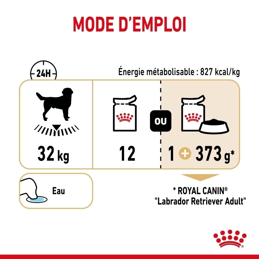 Royal Canin Labrador Retriever Adulte 140g sachet.