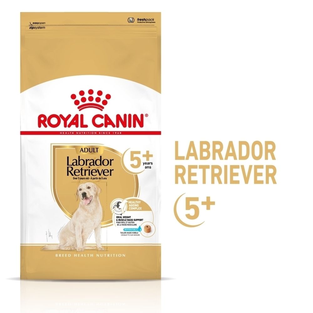 Sac de croquettes Royal Canin Labrador Retriever Adulte 5+ avec illustration de Labrador.
