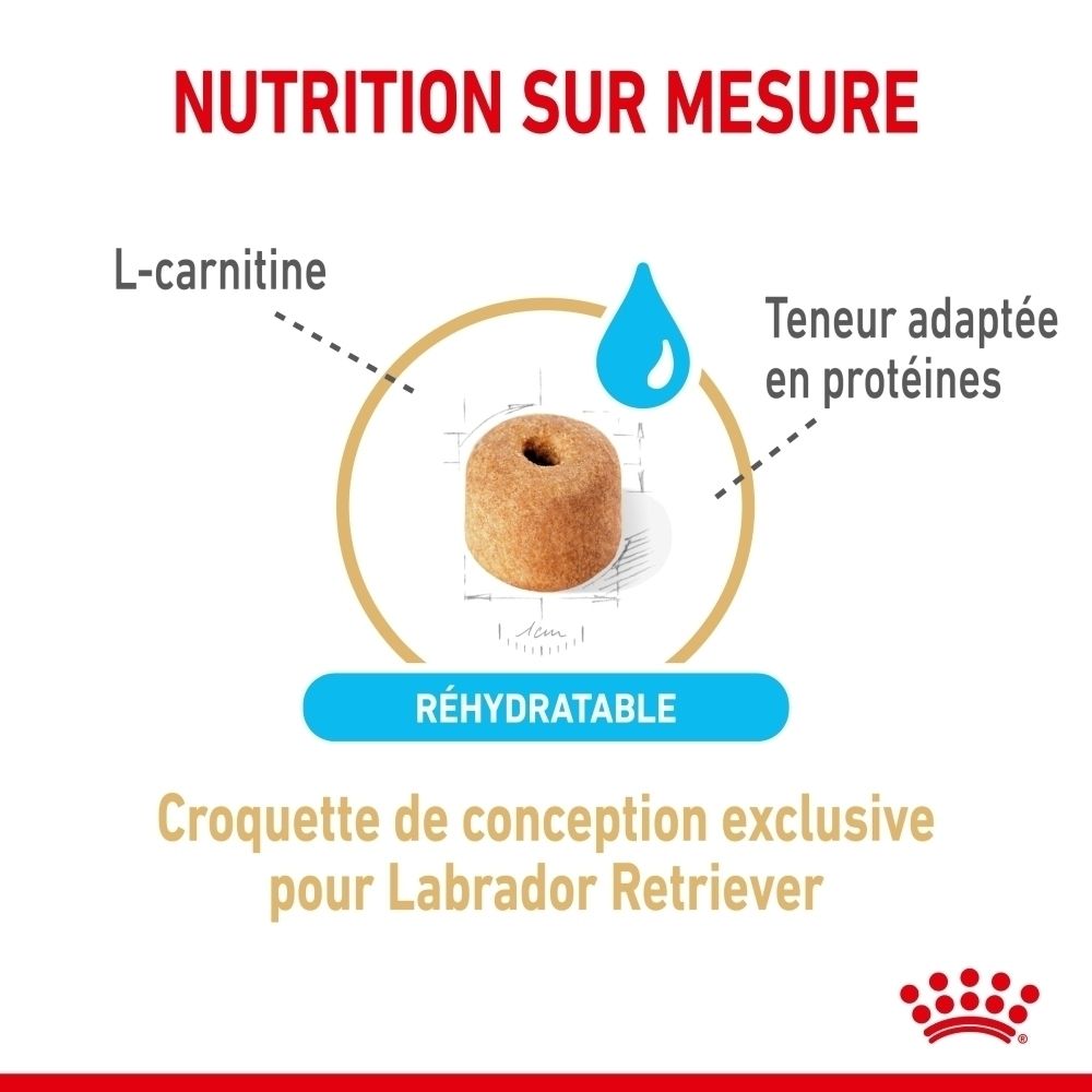Royal Canin Labrador Retriever Adulte 5+: Tableau d'alimentation basé sur l'activité et le poids du chien.