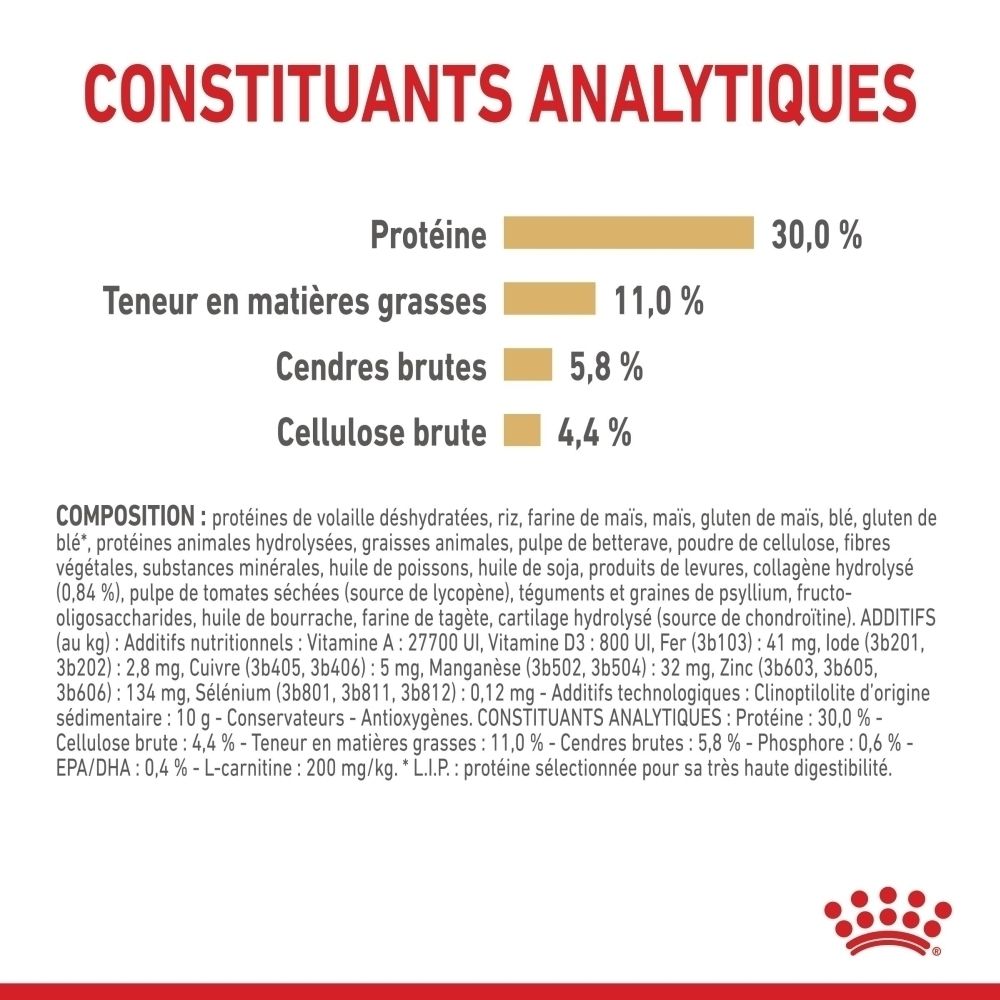Royal Canin Labrador Retriever Adulte 5+: Croquettes avec L-carnitine et teneur adaptée en protéines.