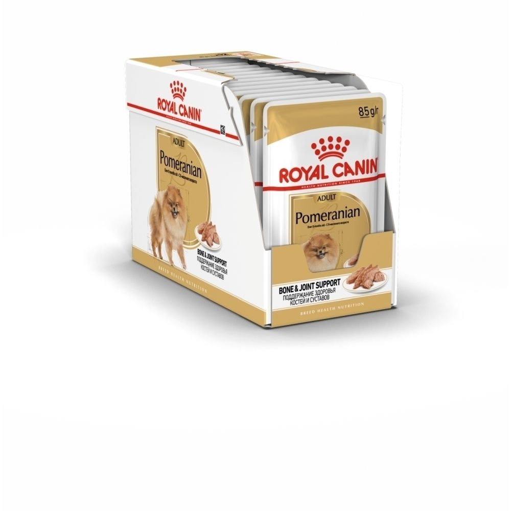 Boîte d'exposition Royal Canin pour nourriture pour chien Pomeranian, 12 sachets, Adult Bone & Joint Support.