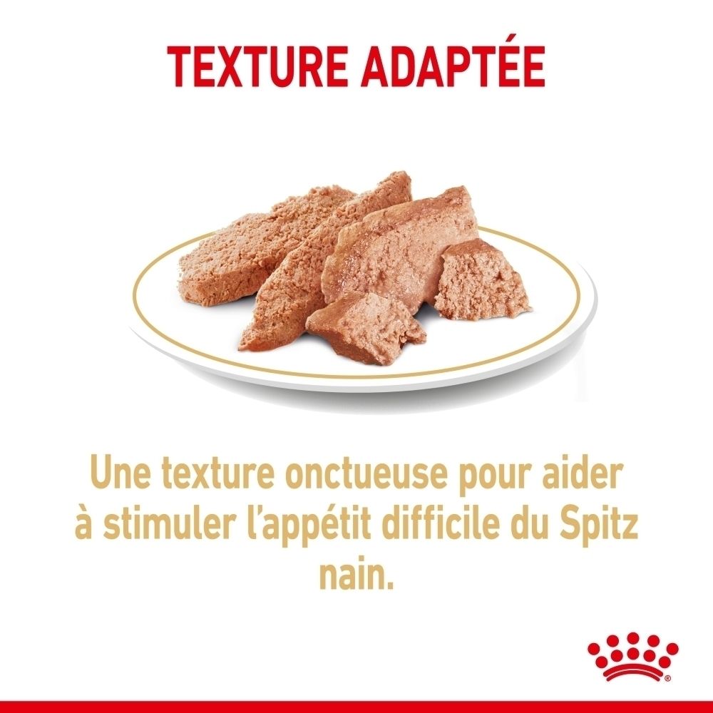 Plusieurs morceaux de nourriture humide pour animaux sur une assiette.