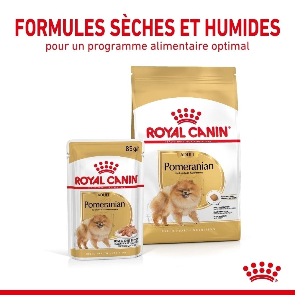 Nourriture Royal Canin Pomeranian : sachet et barquette pour chiens adultes. Emballage doré avec image de chien.