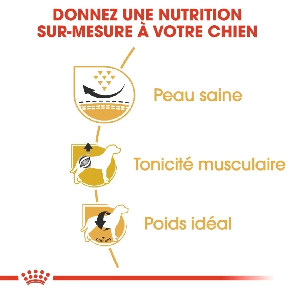 Nourriture Royal Canin Pug: Graphiques montrant peau saine, tonicité musculaire et poids idéal.