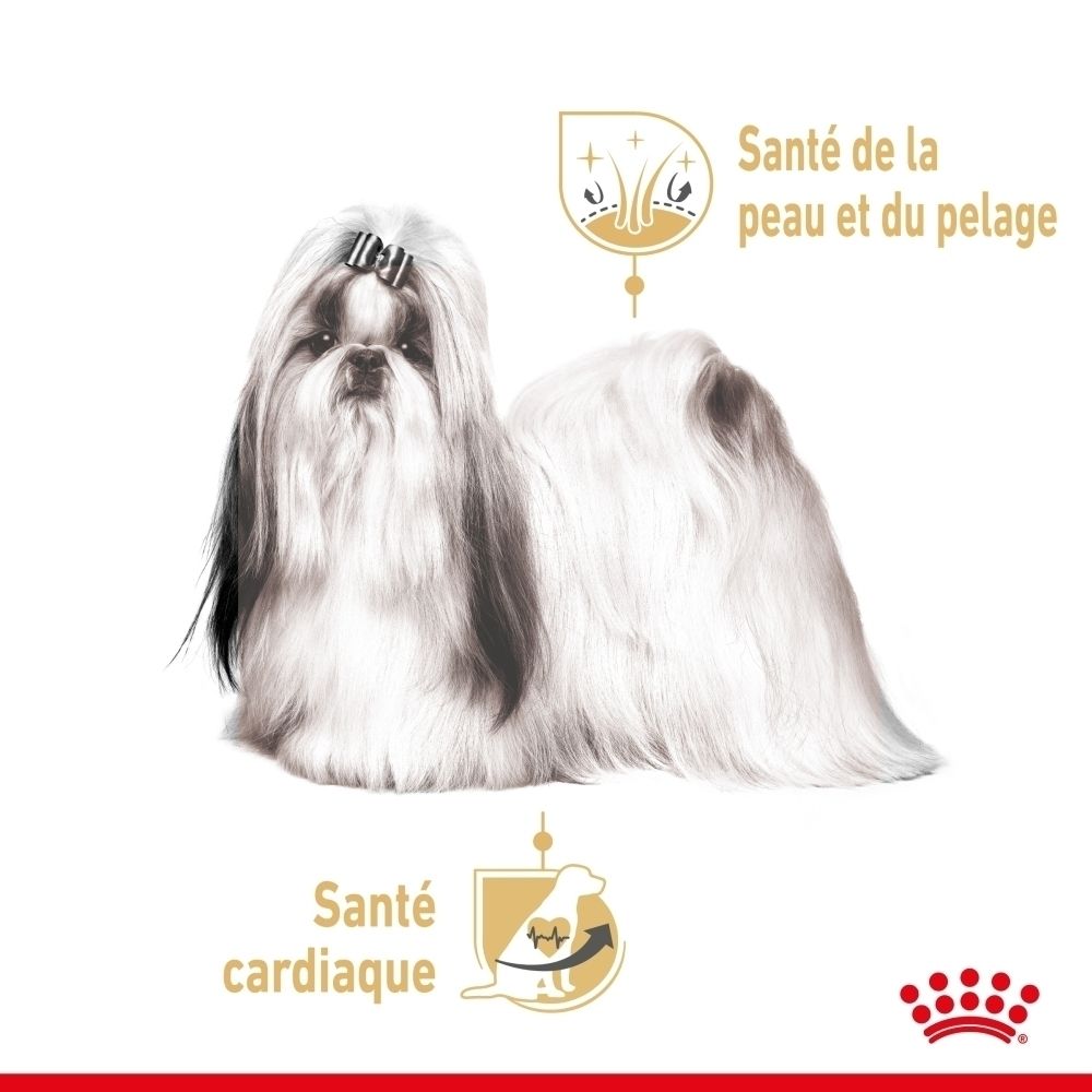 Sachet Royal Canin Shih Tzu Adulte texture adaptée.