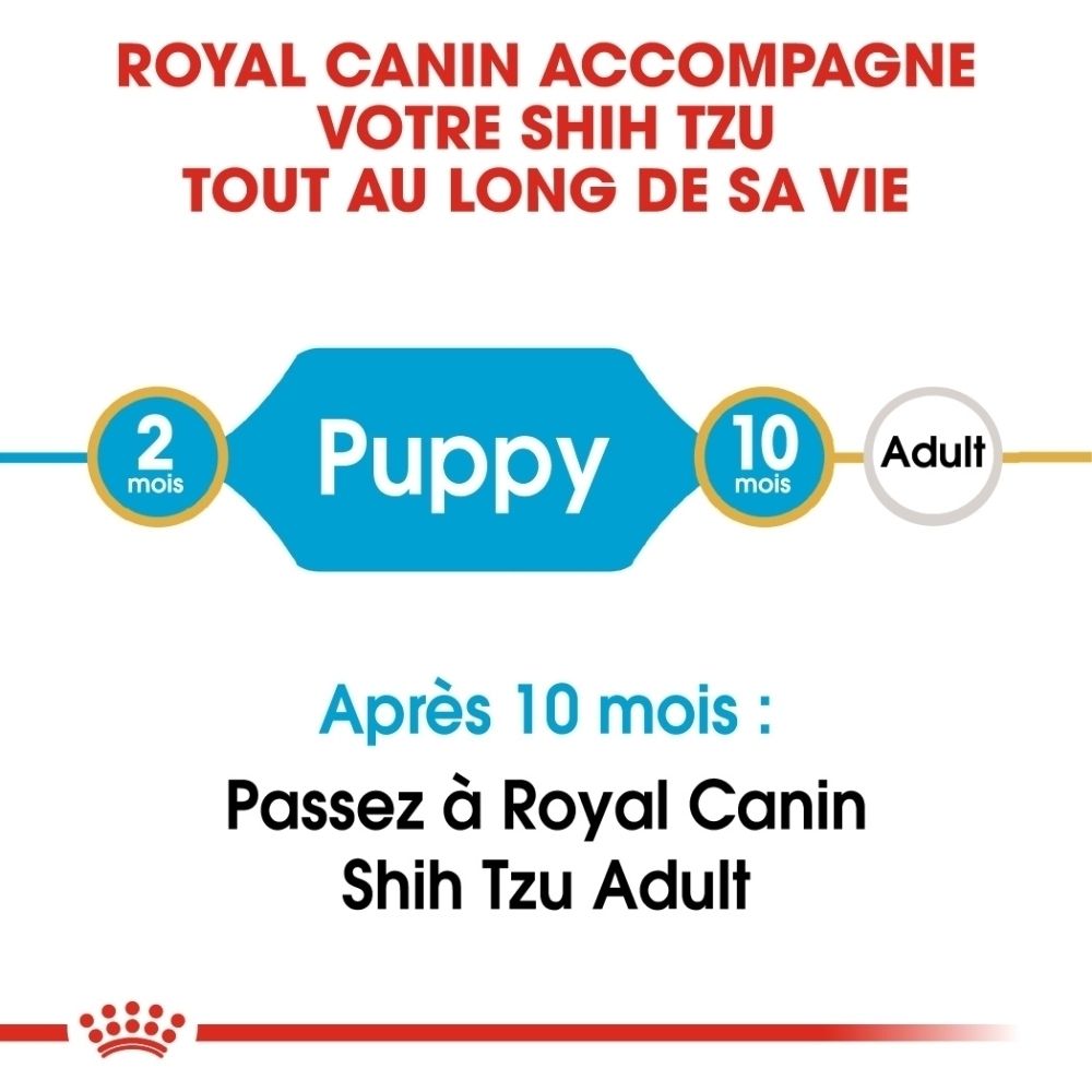 Transition Royal Canin Shih Tzu de chiot à adulte. Montre les étapes de vie et le changement.